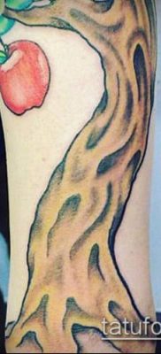 APPLE TATTOO №678 - a kép méltó változata, amely sikeresen használható almafa tetoválásként történő feldolgozásra és alkalmazásra