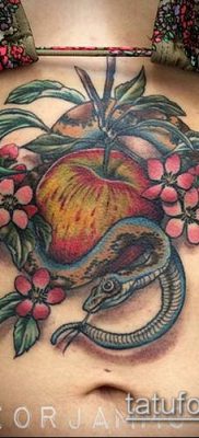 APPLE TATTOO # 553 - a rajz érdekes változata, amely könnyen használható a felülvizsgálathoz és az almafa tetoválásához