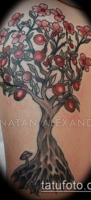 APPLE TATTOO # 781 - a kép hűvös változata, amely jól használható átalakítására és tetováló almafaként való alkalmazására