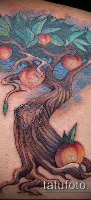 Az APPLE TATTOO # 889 a kép méltó változata, amely sikeresen használható almafa tetoválásként történő feldolgozásra és alkalmazásra