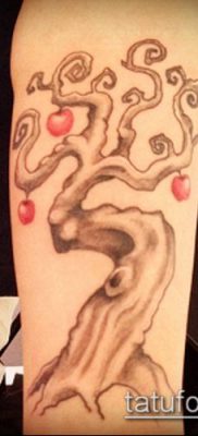 APPLE TATTOO # 159 - a minta érdekes változata, amely jól használható feldolgozásra és tetováló almafaként történő alkalmazásra