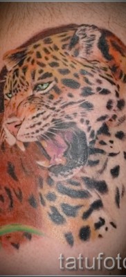Fotó példa a jaguár 23 tetoválásra