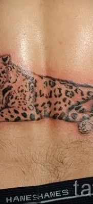 Fotó példa a jaguar 20 tetoválásra