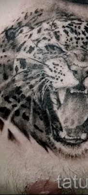 Fotó példa a jaguár 7 tetoválásra