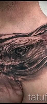 sólyom tetoválás - példa a 07122015 képen 24