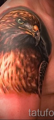 sólyom tetoválás - példa a 07122015 -ös fotón 22