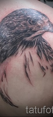 sólyom tetoválás - példa a 07122015 fotóból 20