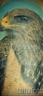 sólyom tetoválás - példa a 07122015 fotóján 19