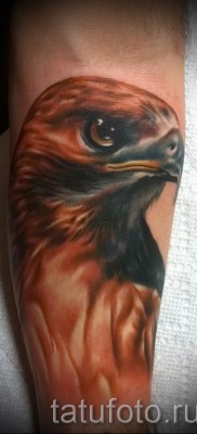 sólyom tetoválás - példa a 07122015 -ös fotón 18