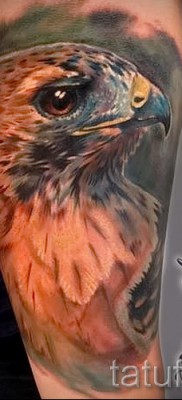 sólyom tetoválás - példa a 07122015 -ös fotón 16