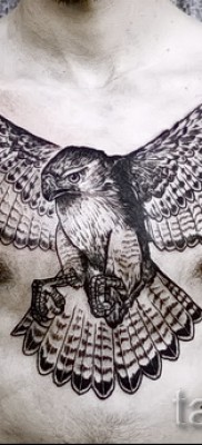 sólyom tetoválás - példa a 07122015 -ös fotón 11