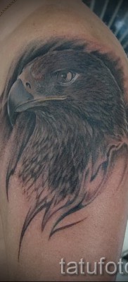 sólyom tetoválás - példa a 07122015 képen 10
