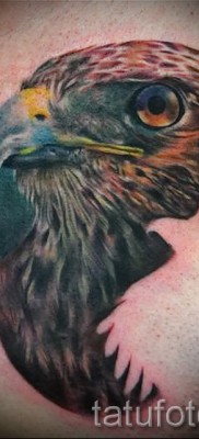 sólyom tetoválás - példa a 07122015 képen 6