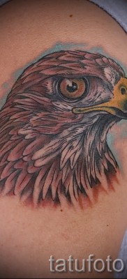 sólyom tetoválás - példa a 07122015 -ös fényképen 5