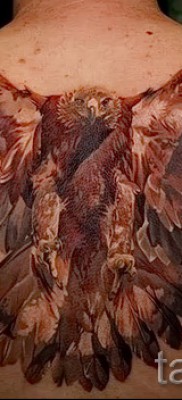 sólyom tetoválás - példa a 07122015 -ös fényképen 3