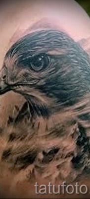 sólyom tetoválás - példa a 07122015 -ös fotón 2