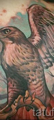 sólyom tetoválás - példa a 07122015 -ös fényképen 1