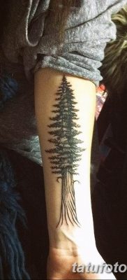 фото татуировка коледни елхи 05.03.2019 №059 - фото татуировка коледни елхи -