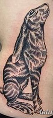 fotografija tetovaže zeca od 02.02.2017. br. 009 - tetovaže zec -