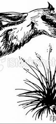 fotografija tetovaže zeca od 02.02.2017. br. 011 - tetovaže zec -