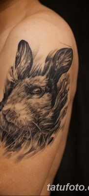 fotografija tetovaže zeca od 02.02.2017. br. 020 - tetovaže zec -