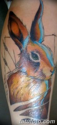 fotografija tetovaže zeca od 02.09.2017. br. 043 - tetovaže zec -