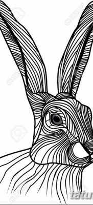 fotografija tetovaže zeca od 02.02.2017. br. 046 - tetovaže zec -