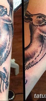 fotografija tetovaže zeca od 02.02.2017. br. 064 - tetovaže zec -