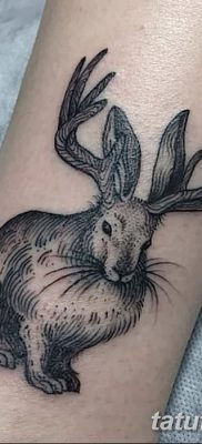 fotografija tetovaže zeca od 02.02.2017. br. 075 - tetovaže zec -