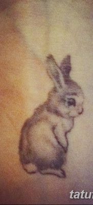 fotografija tetovaže zeca od 02.02.2017. br. 076 - tetovaže zec -