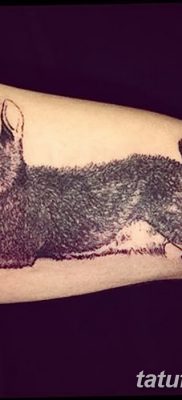 fotografija tetovaže zeca od 02.02.2017. br. 078 - tetovaže zec -