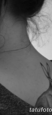 fotografija tetovaže zeca od 02.02.2017. br. 081 - tetovaže zec -