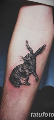 fotografija tetovaže zeca od 02.09.2017. br. 084 - tetovaže zec -