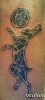 fotografija tetovaže zeca od 02.02.2017. br. 090 - tetovaže zec -