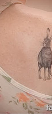 fotografija tetovaže zeca od 02.02.2017. br. 099 - tetovaže zec -