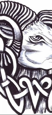 fotó Kos Kos tetoválás kelt 2017.10.21. №001 - tetoválás Kos -