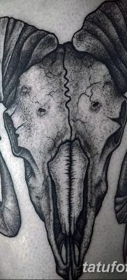 fotó Kos Kos tetoválás kelt 2017.10.21 №015 - tetoválás Kos -