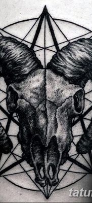 fotó Kos Kos tetoválás kelt 2017.10.21. №017 - tetoválás Kos -