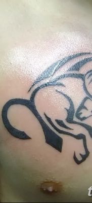 fotó Kos Kos tetoválás kelt 2017.10.21 №019 - tetoválás Kos -