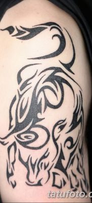 fotó a Bika tetoválásról 2017.10.21. 012 sz. - Bika tatu -