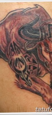 fotó a Bika tetoválásról, 2017.10.21. 018 sz. - Bika tatu -