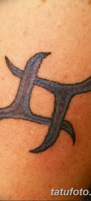 fotó Ikrek állatöv tetováló jele 2017.10.21 -től №015 - Gemini állatöv tetováló jele