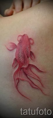 Aranyhal tetoválás fotója a tetoválás tervezéséről szóló cikkhez - tatufoto.ru - 50