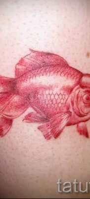 Aranyhal tetoválás fotója a tetoválás tervezéséről szóló cikkhez - tatufoto.ru - 24