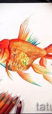 Aranyhal tetoválás fotója egy cikkhez a tetoválás tervezéséről - tatufoto.ru - 14