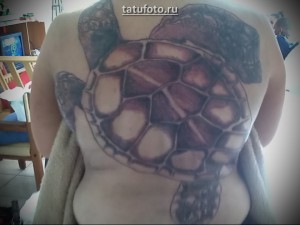 Nagy teknős tetovált a hátán