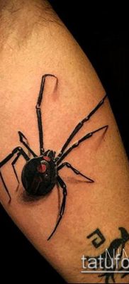 fotó tetováló fekete özvegyről (Tattoo) (érték) - példa rajz - 001