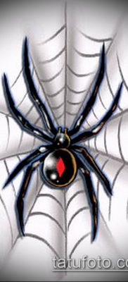 fotó tetoválás fekete özvegy (Tattoo) (érték) - példa rajz - 003