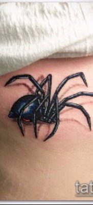 fotó tetováló fekete özvegyről (Tattoo) (érték) - példa rajz - 007