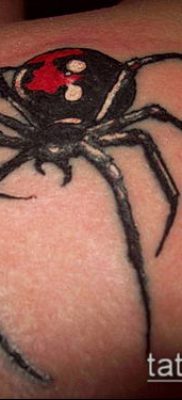 fotó tetoválás fekete özvegy (tetoválás) (érték) - példa rajz - 012